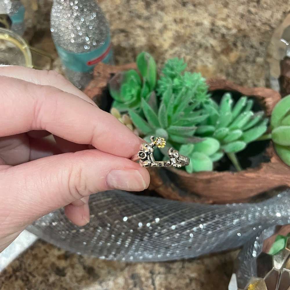 Open Elephant Ring - Picture 6 of 6